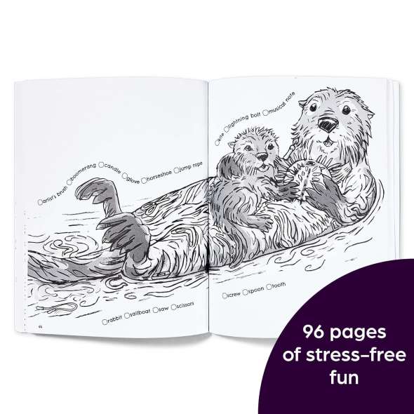 Hidden in Nature: A Cozy Hidden Pictures Coloring Book for Adults with Relaxing Nature Scenes, Intricate Hidden Pictures Puzzles and Stress-Relief Coloring Fun - Book - Paracay
