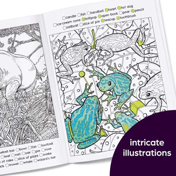 Hidden in Nature: A Cozy Hidden Pictures Coloring Book for Adults with Relaxing Nature Scenes, Intricate Hidden Pictures Puzzles and Stress-Relief Coloring Fun - Book - Paracay