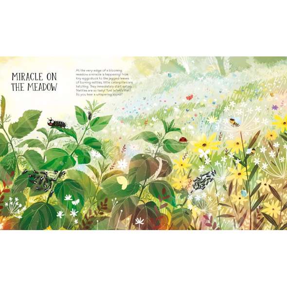 How to Become a Butterfly - Book - Paracay