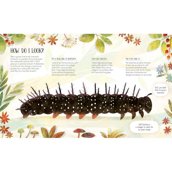 How to Become a Butterfly - Book - Paracay