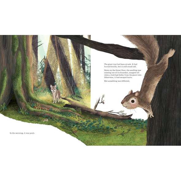 Listen to the Language of the Trees: A story of how forests communicate underground - Book - Paracay