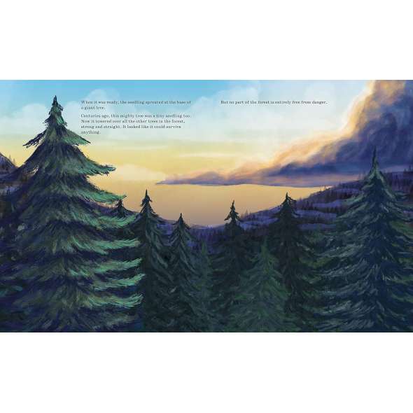 Listen to the Language of the Trees: A story of how forests communicate underground - Book - Paracay