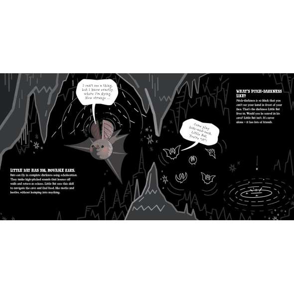 Little Bat and the Fabulous Cave - Book - Paracay