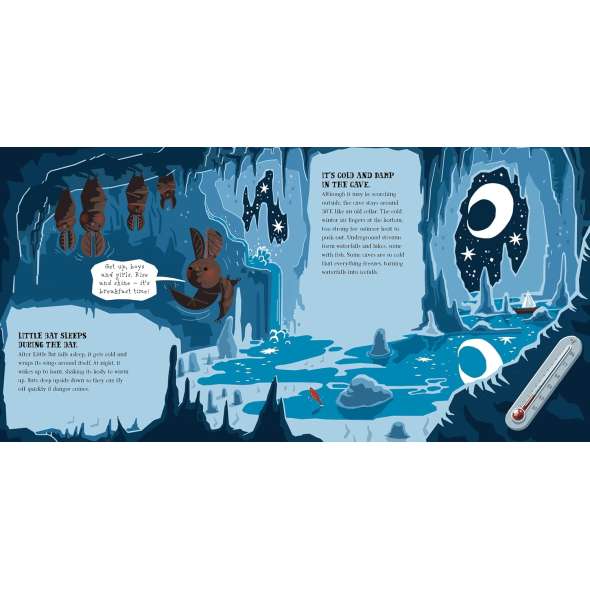 Little Bat and the Fabulous Cave - Book - Paracay