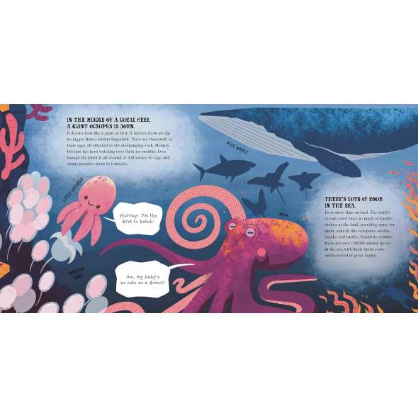 Little Octopus and the Vast Ocean - Book - Paracay