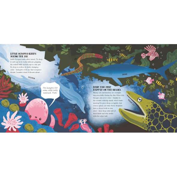 Little Octopus and the Vast Ocean - Book - Paracay