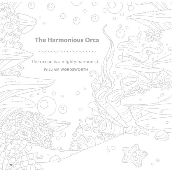 Spectacular Ocean Creatures Coloring Book - Book - Paracay