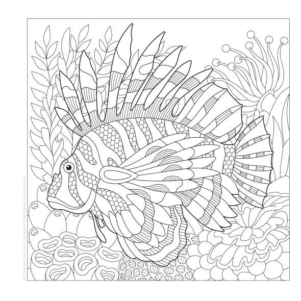 Spectacular Ocean Creatures Coloring Book - Book - Paracay