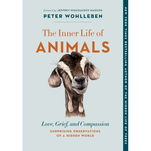 The Inner Life of Animals: Love, Grief, and CompassionSurprising Observations of a Hidden World - Book - Paracay