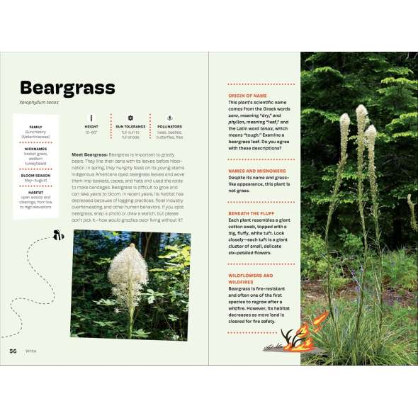 Wildflowers of the Pacific Northwest For Kids - Book - Paracay