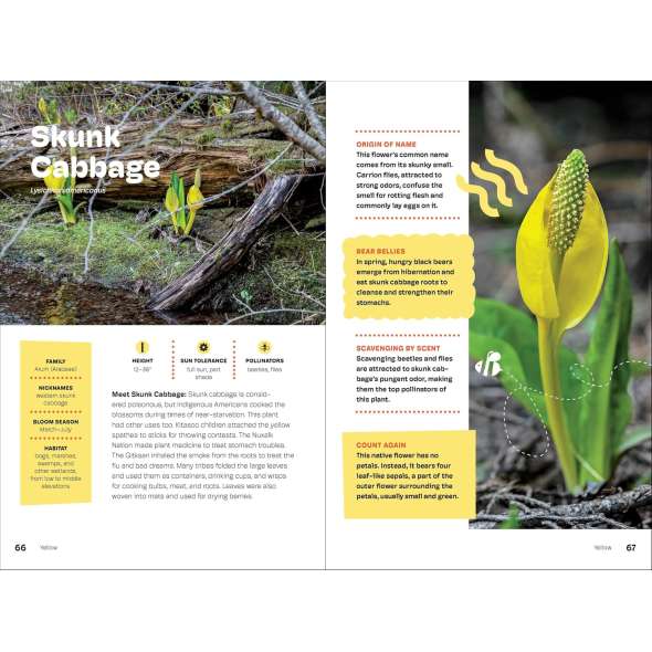 Wildflowers of the Pacific Northwest For Kids - Book - Paracay