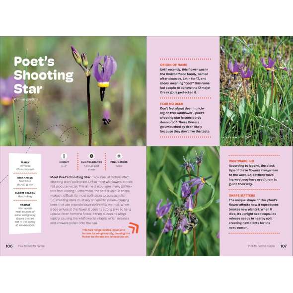 Wildflowers of the Pacific Northwest For Kids - Book - Paracay