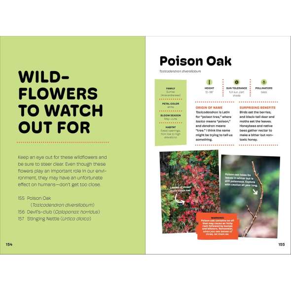 Wildflowers of the Pacific Northwest For Kids - Book - Paracay