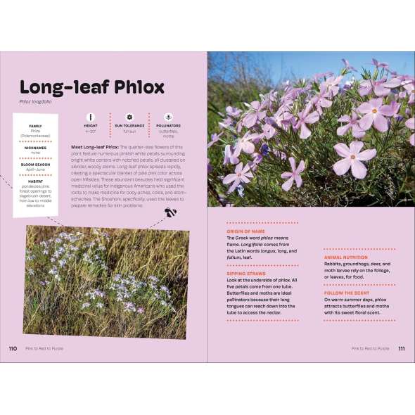 Wildflowers of the Pacific Northwest For Kids - Book - Paracay