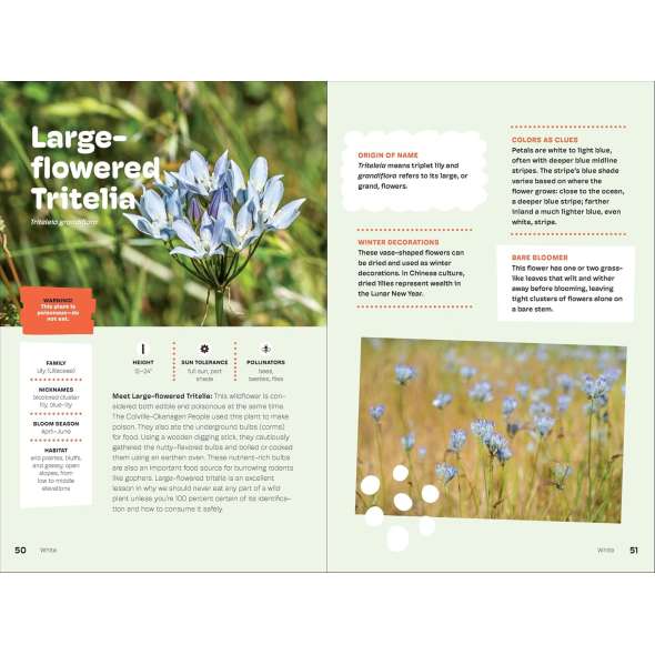 Wildflowers of the Pacific Northwest For Kids - Book - Paracay