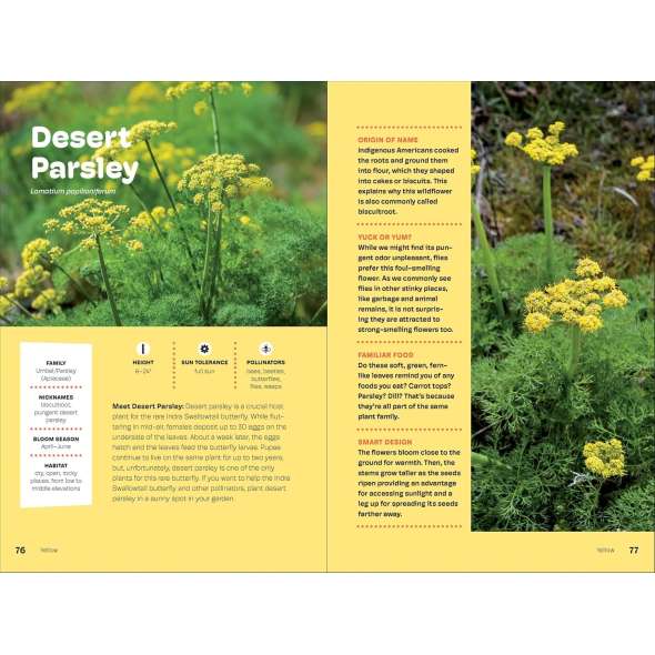 Wildflowers of the Pacific Northwest For Kids - Book - Paracay