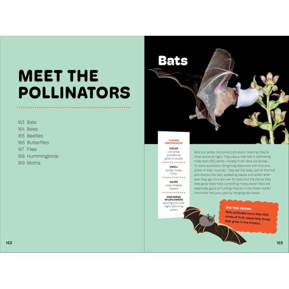 Wildflowers of the Pacific Northwest For Kids - Book - Paracay