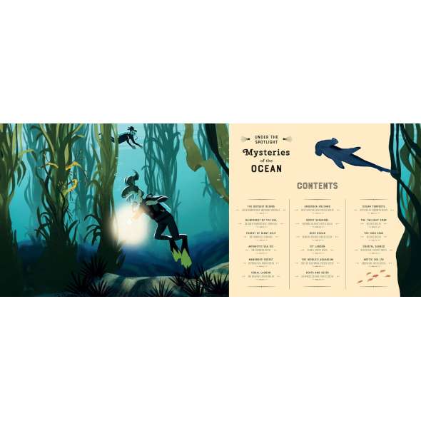 Mysteries of the Ocean - Book - Paracay