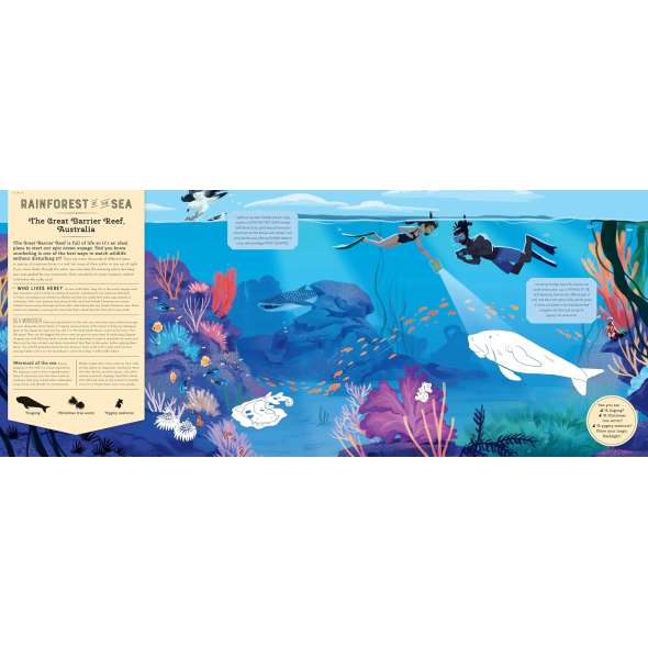 Mysteries of the Ocean - Book - Paracay