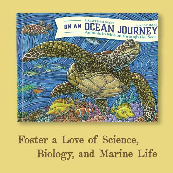 On An Ocean Journey - Book - Paracay
