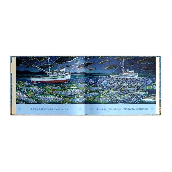 On An Ocean Journey - Book - Paracay