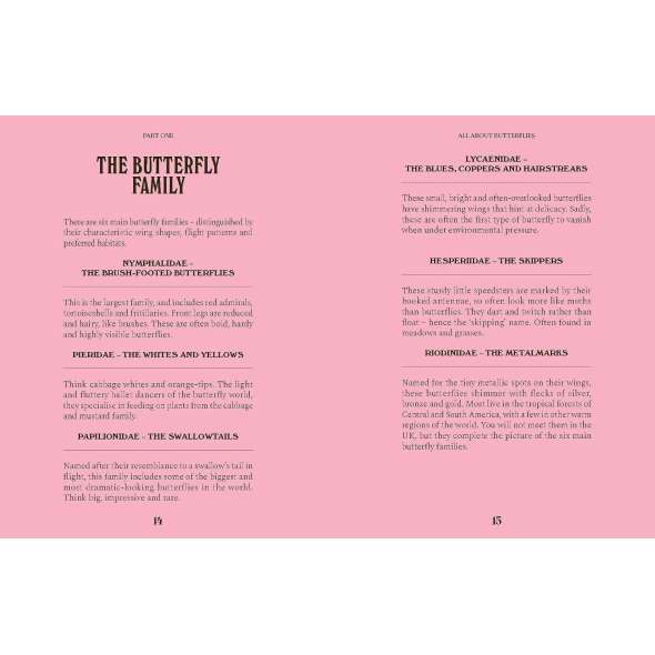 Butterflies - Book - Paracay