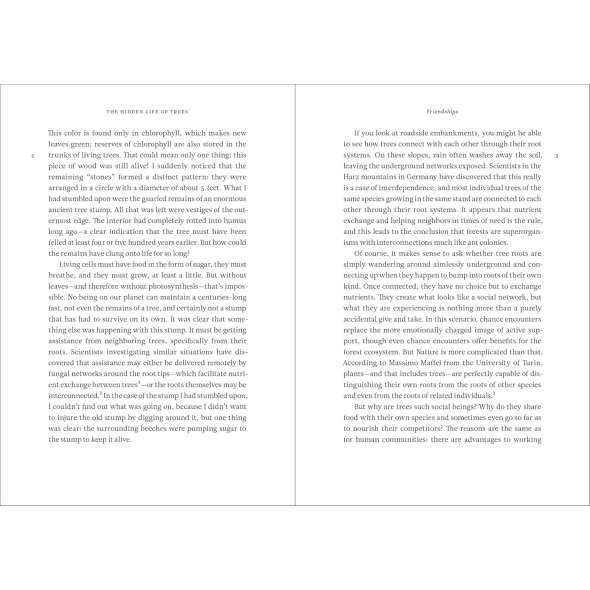The Hidden Life of Trees - Book - Paracay
