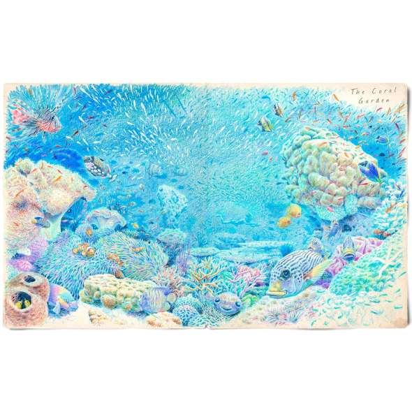 The Lost Book of Undersea Adventure - Book - Paracay