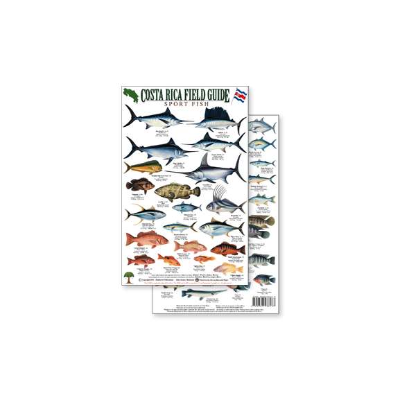 Costa Rica Sport Fish Field Guide (Laminated 2-Sided Card)