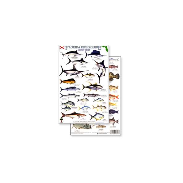 Florida Sport Fish Field Guide (Laminated 2-Sided Card)