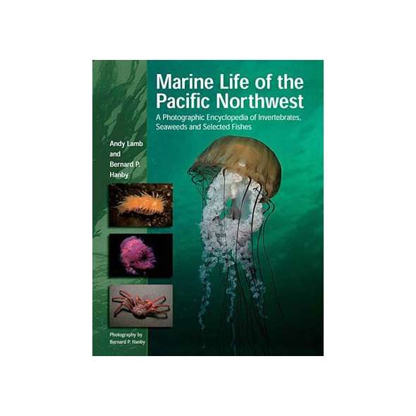 Marine Life of Pacific Northwest