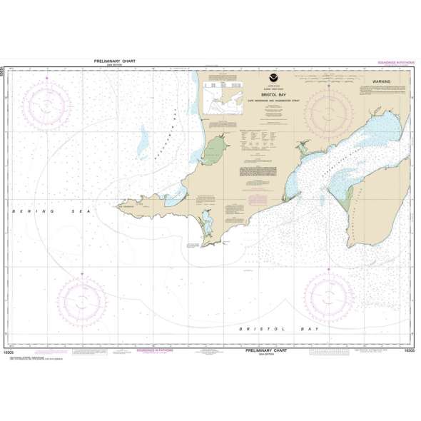 NOAA Chart 16305: Bristol Bay-Cape Newenham and Hagemeister Strait