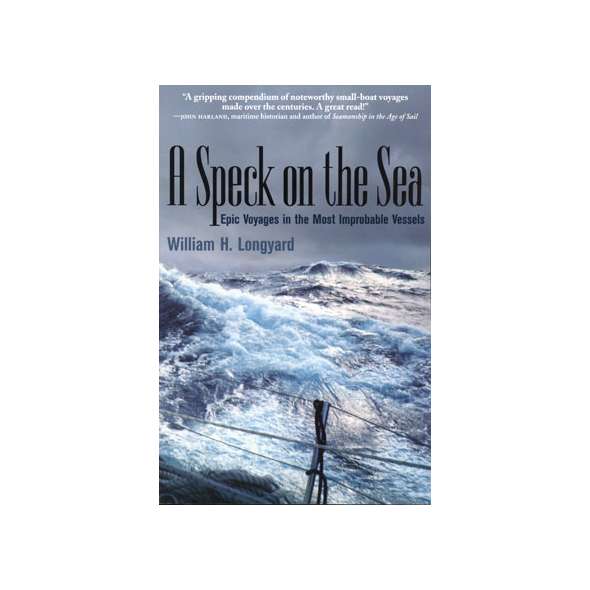 A Speck On the Sea