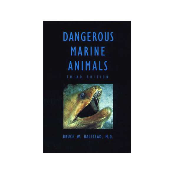 Dangerous Marine Animals