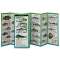 Fishes of Florida's Gulf Coast (Folding Guides)