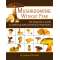 Mushrooming without Fear: The Beginner's Guide to Collecting Safe and Delicious Mushrooms