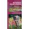 Roadside Wildflowers (Folding Pocket Guide)