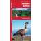 Hawaii Birds (Folding Pocket Guide)