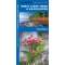 Great Lakes Trees & Wildflowers (Folding Pocket Guide)