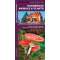 Dangerous Animals & Plants (Folding Pocket Guide)