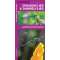Dragonflies & Damselflies  (Folding Pocket Guide)