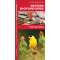 Western Backyard Birds (Folding Pocket Guide)