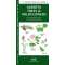 Alberta Trees & Wildflowers (Folding Pocket Guide)