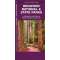 Redwood National & State Parks (Folding Pocket Guide)