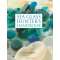 Sea Glass Hunter's Handbook