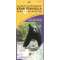 Alaska's Kenai Peninsula Road & Recreation Map, 6th Edition