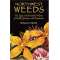Northwest Weeds: The Ugly and Beautiful Villains of Fields, Gardens, and Roadsides