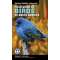 National Wildlife Federation Field Guide to Birds of North America
