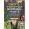 Pacific Northwest Medicinal Plants: Identify, Harvest, and Use 120 Wild Herbs for Health and Wellness