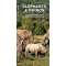 Elephants & Rhinos: A Folding Pocket Guide to the Status of Familiar Species